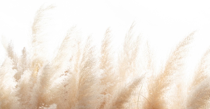 Psychology / Mental Health